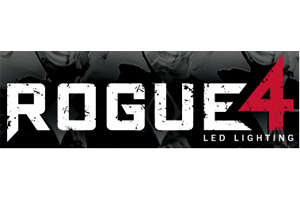 Rogue 4